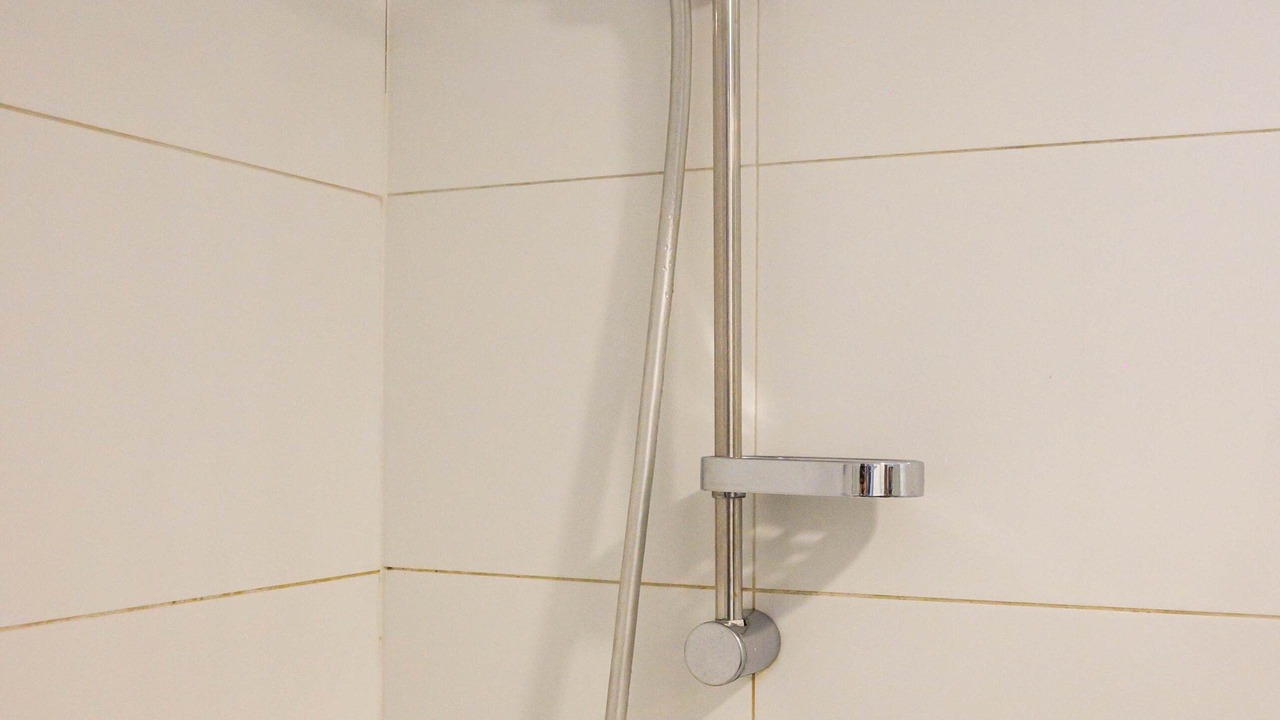 Photo of Bathroom in Apoquindo