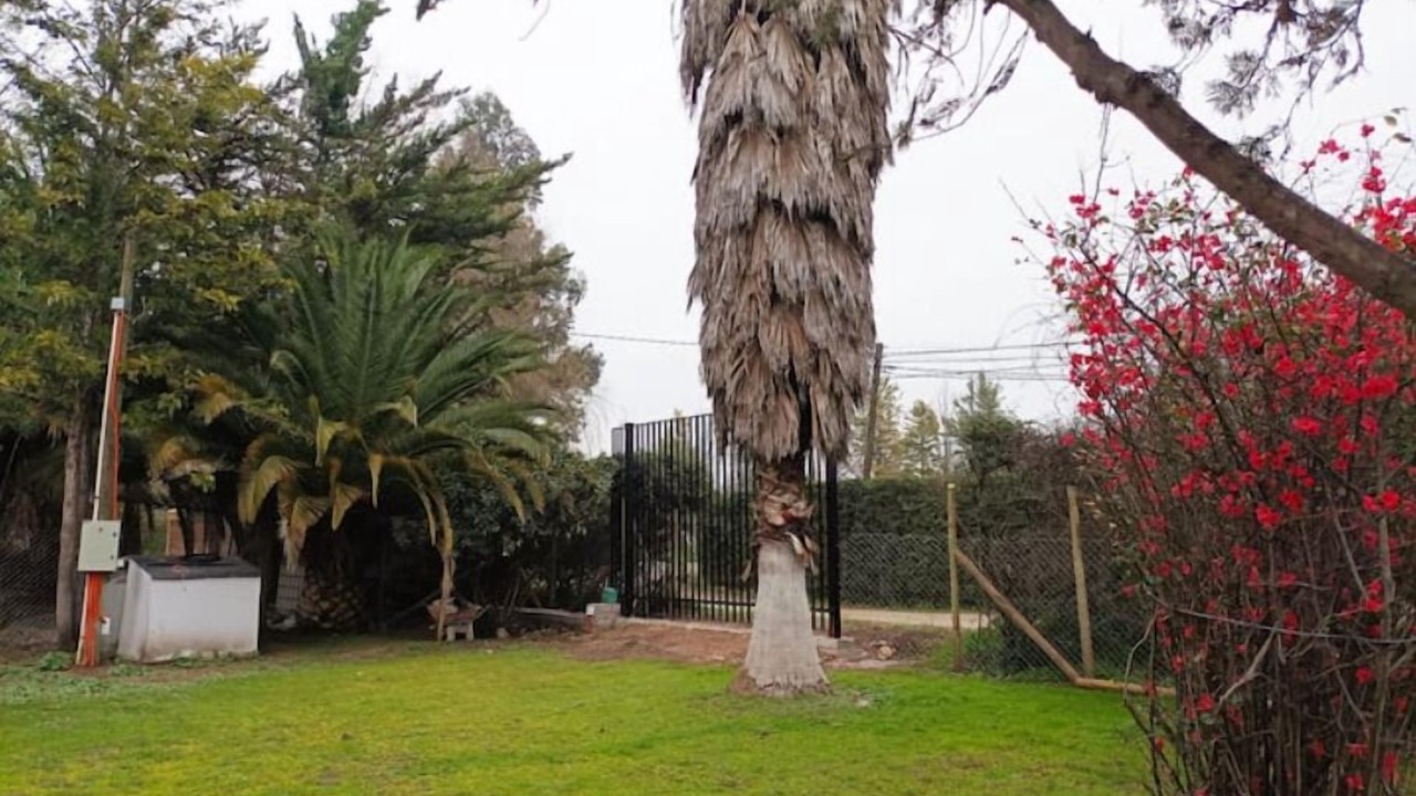 Photo of Outdoor in Chada