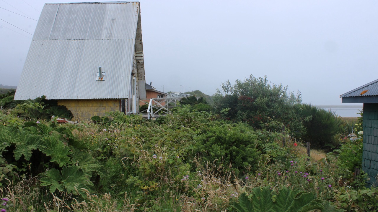 Photo of Outdoor in Chonchi