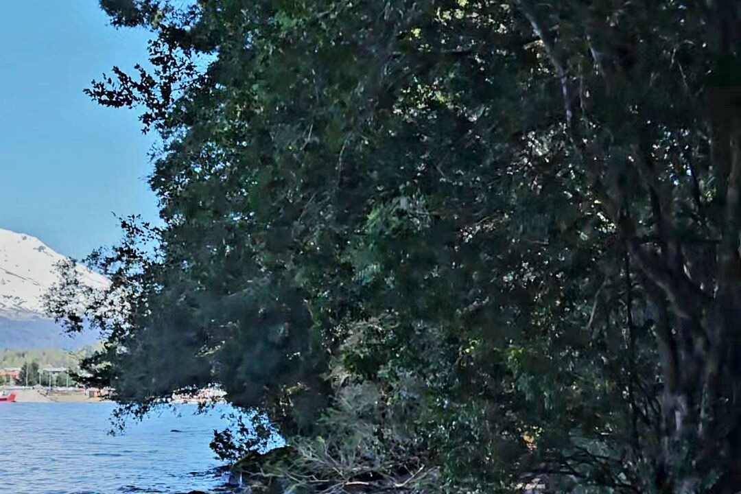 Photo of Others in Puerto Fuy
