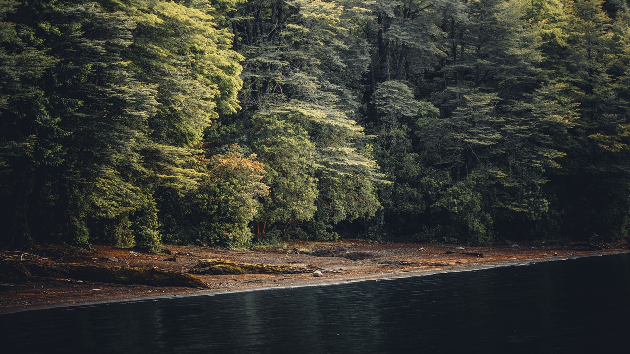 Photo of Outdoor in Puerto Fuy
