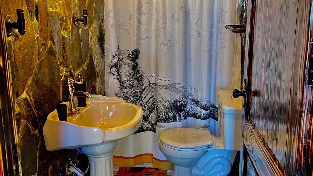 Photo of Bathroom in Chepu