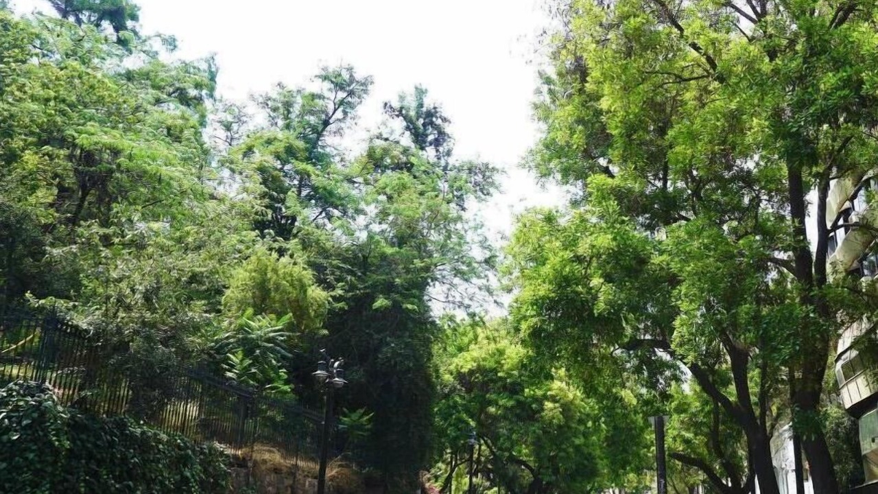 Photo of Others in Lastarria