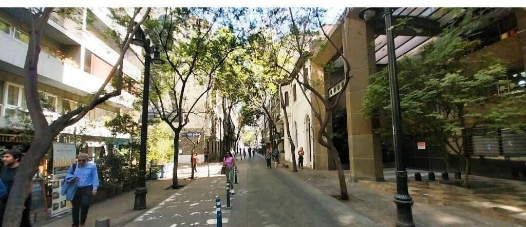 Photo of Others in Lastarria
