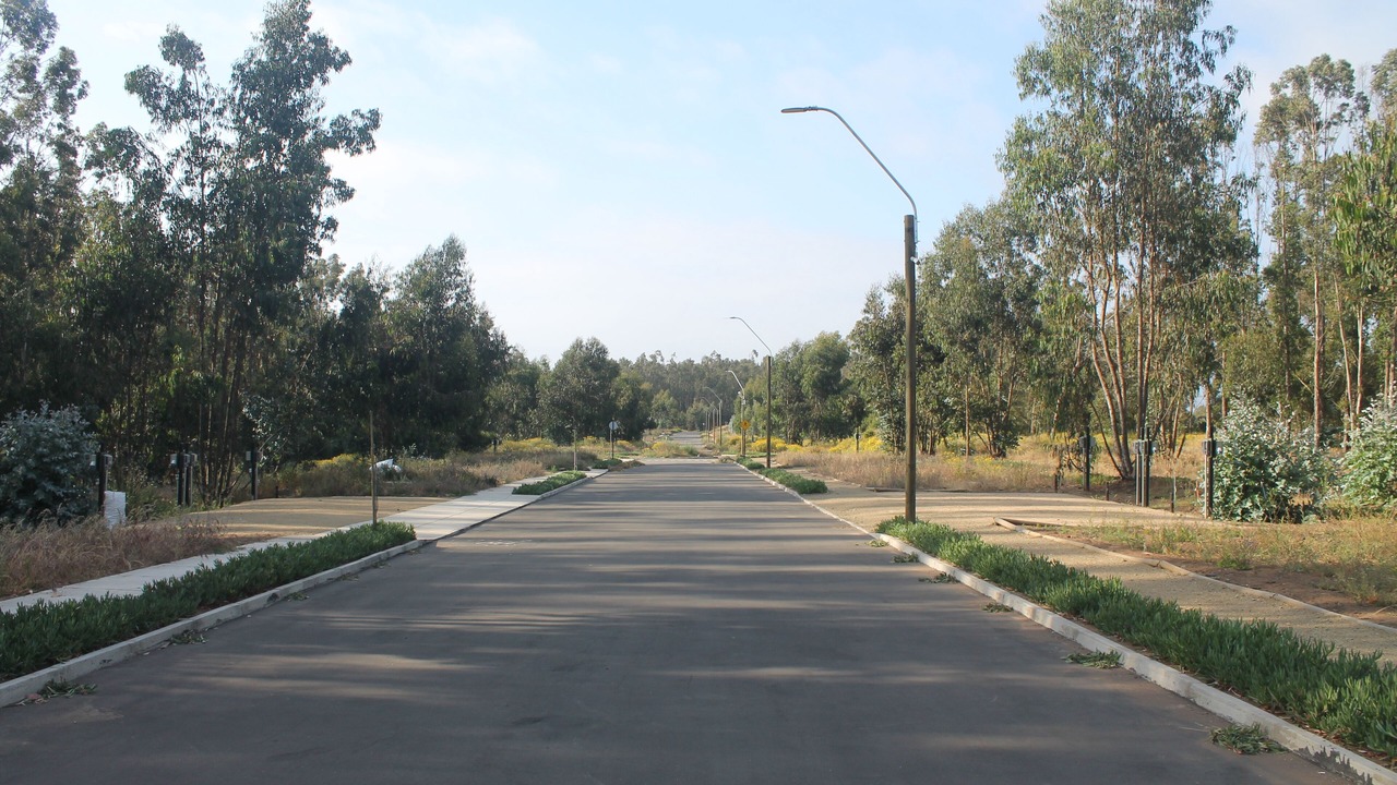 Photo of Outdoor in Puchuncavi