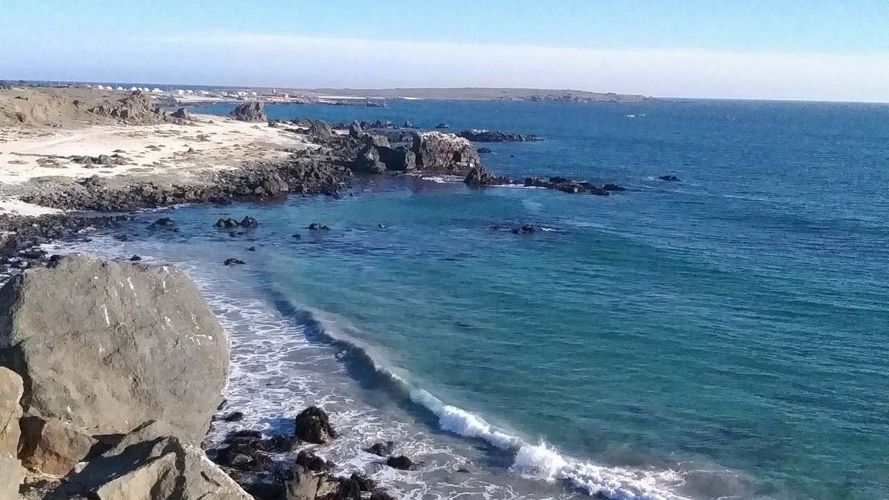 Photo of Others in Punta de Choros