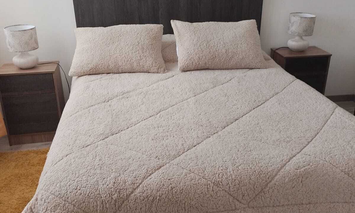 Photo of Bedroom in Vina del Mar