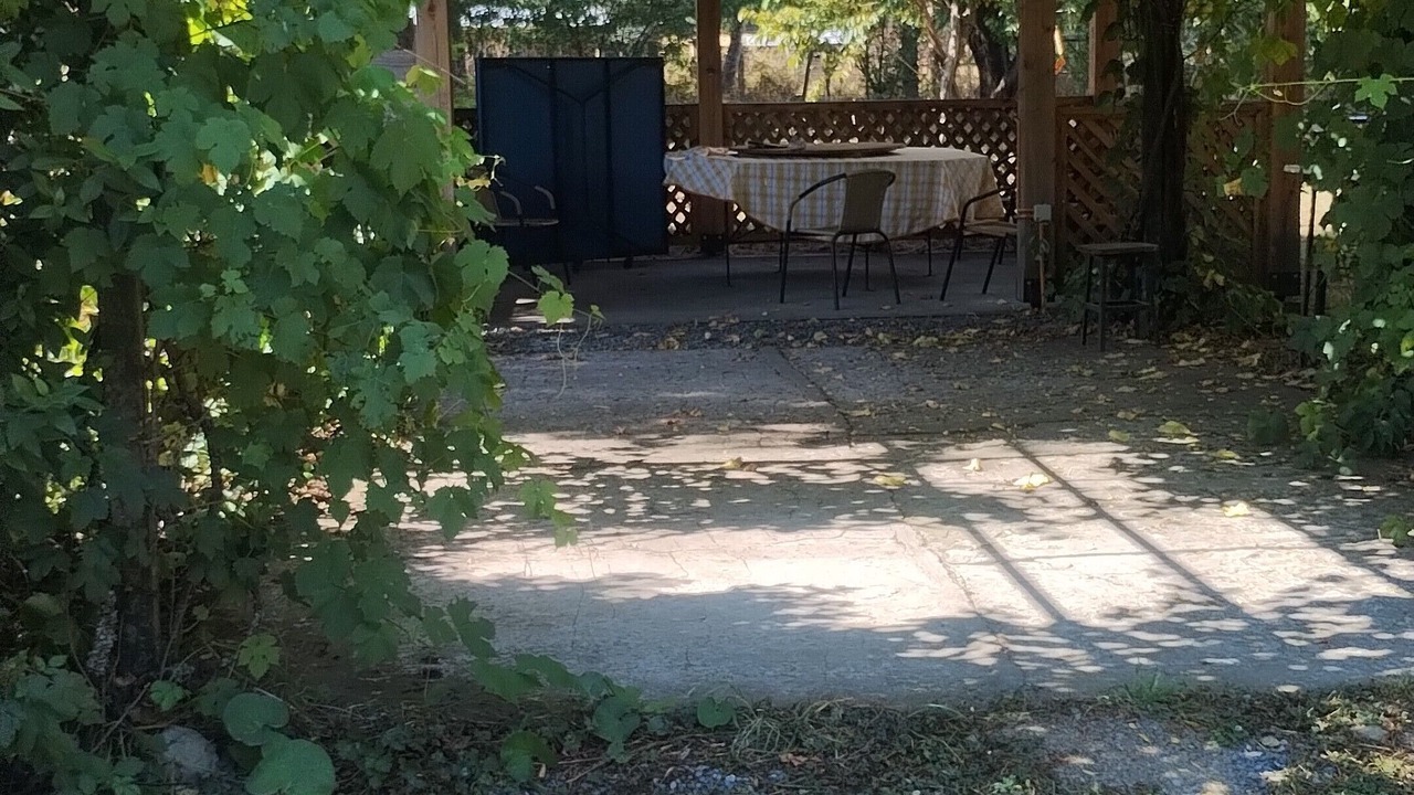 Photo of Outdoor in Vilcun