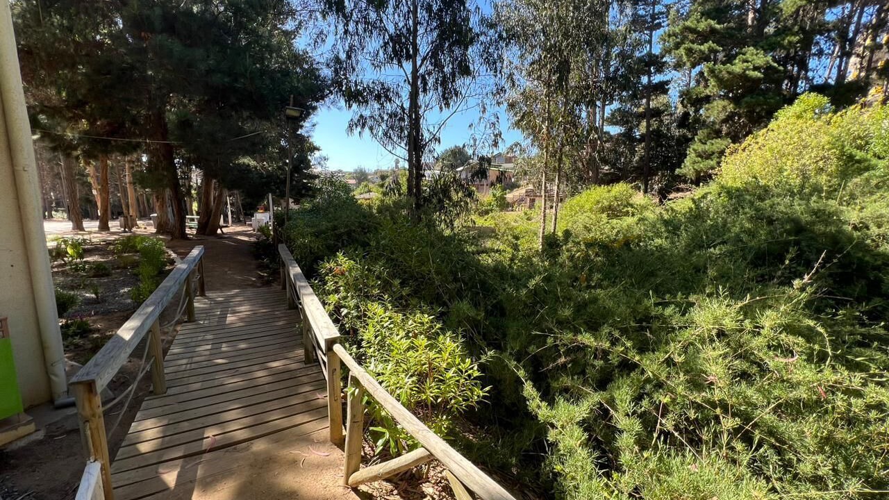 Photo of Outdoor in El Tabo