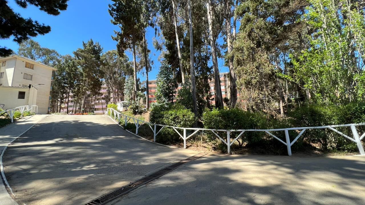 Photo of Outdoor in El Tabo