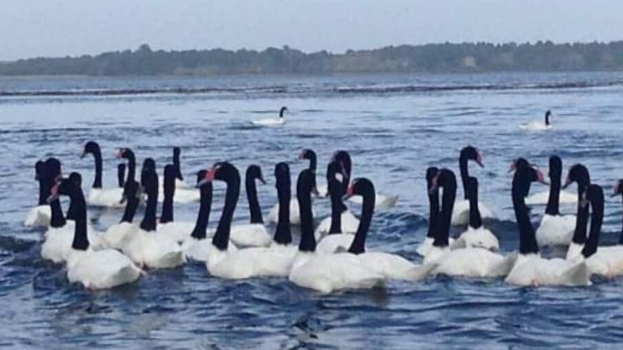 Photo of Others in Ancud