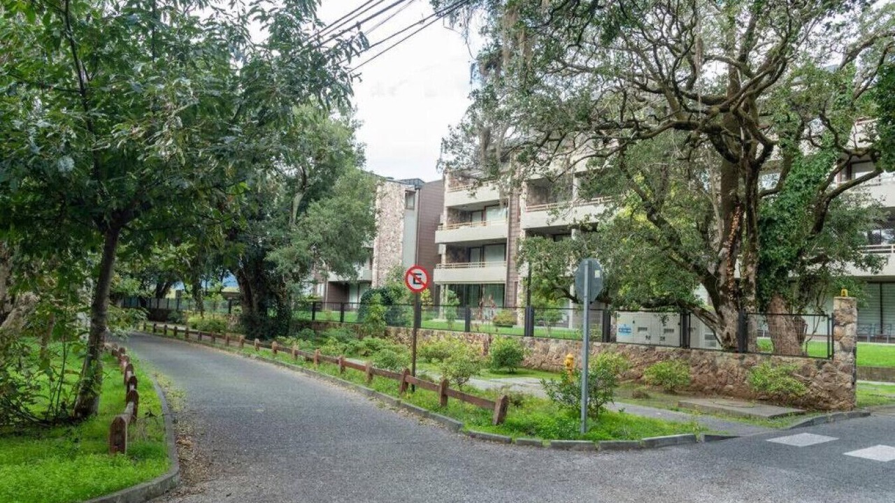 Photo of Outdoor in Pucon