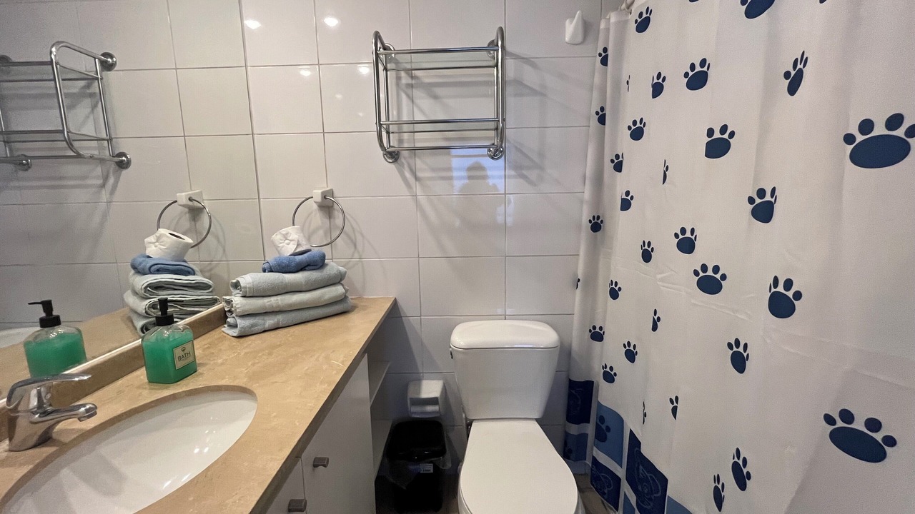 Photo of Bathroom in Downtown Santiago