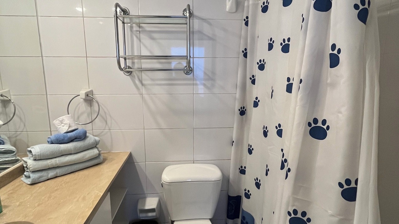 Photo of Bathroom in Downtown Santiago
