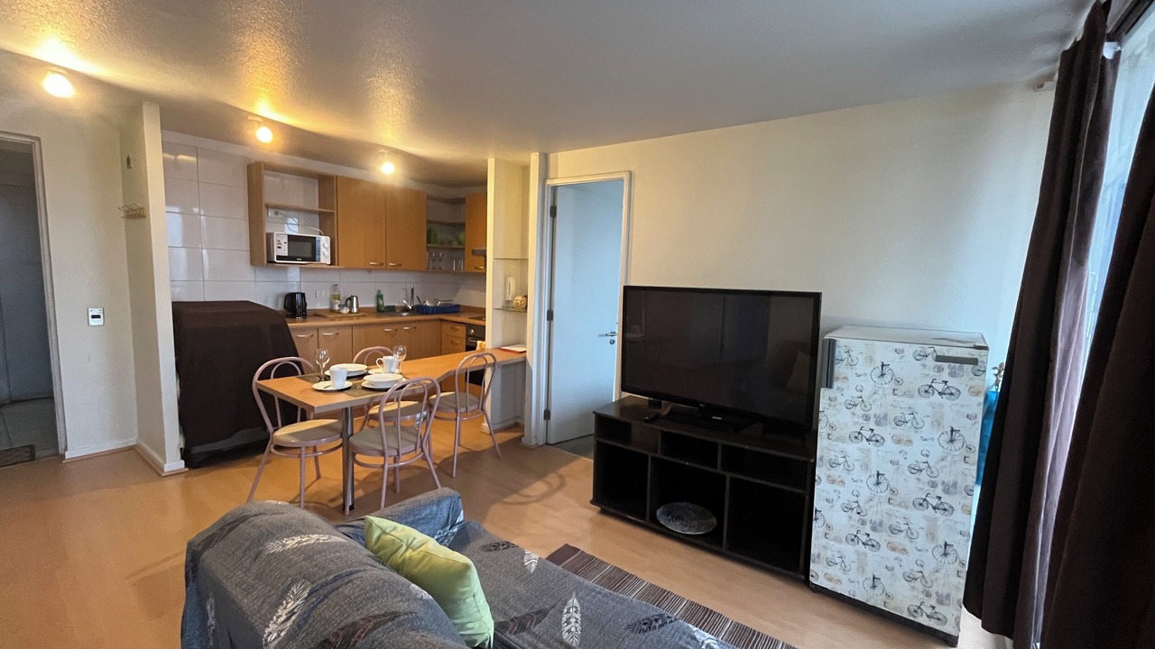 Photo of Livingroom in Downtown Santiago