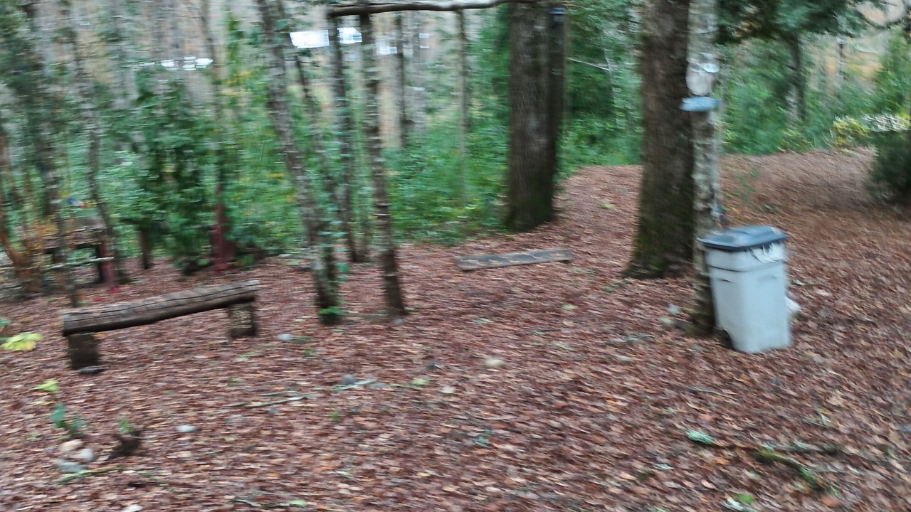 Photo of Outdoor in Pucon