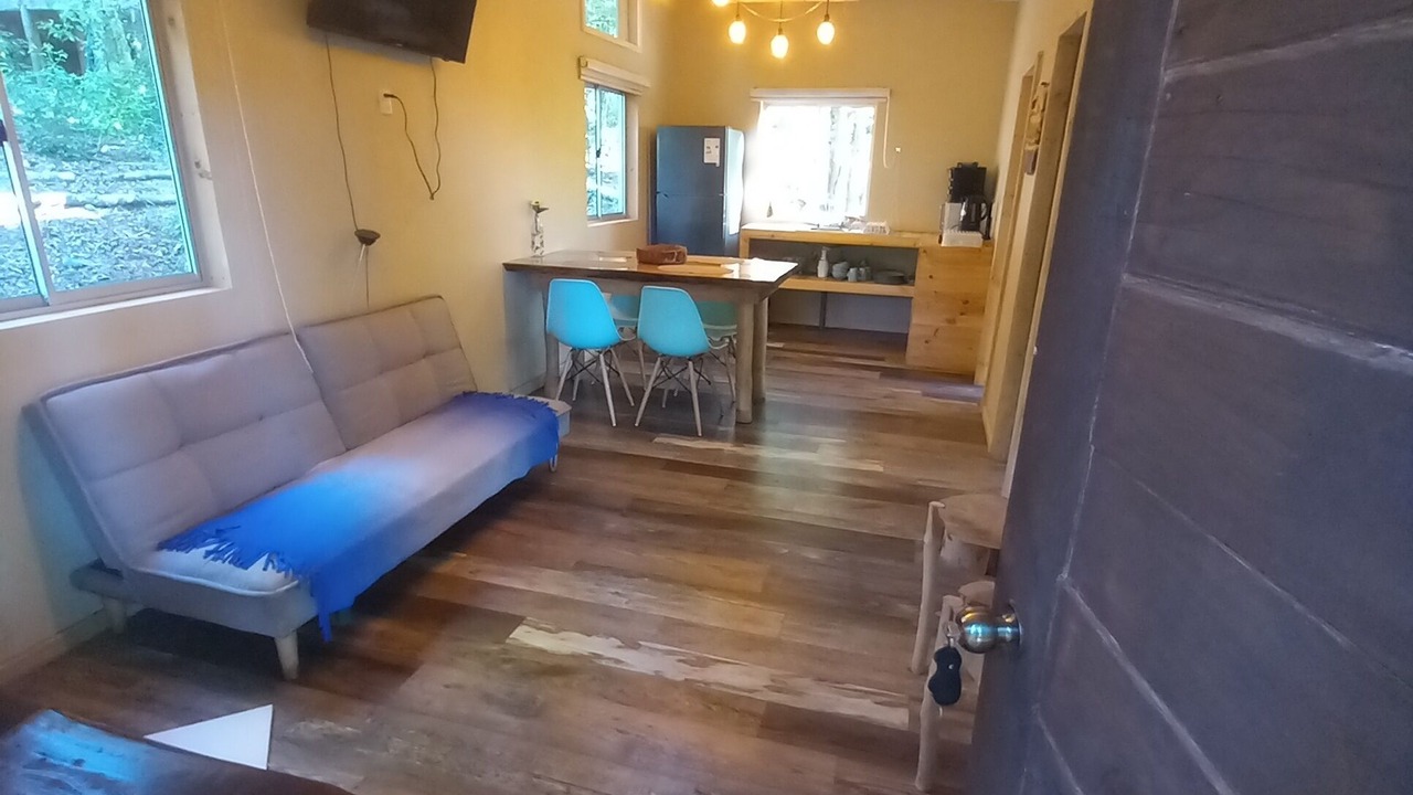 Photo of Livingroom in Pucon