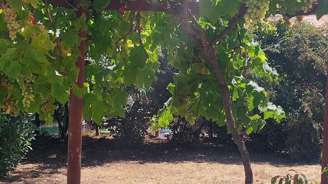 Photo of Outdoor in Quintay