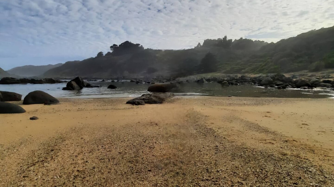 Photo of Others in Quintay