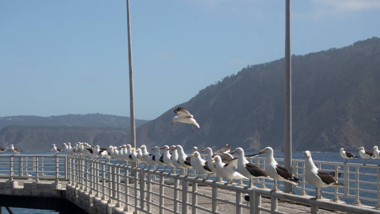 Photo of Others in Quintay