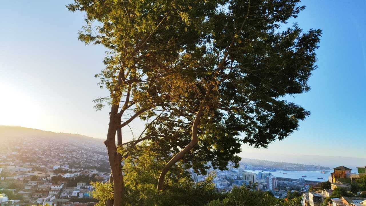 Photo of Others in Valparaiso