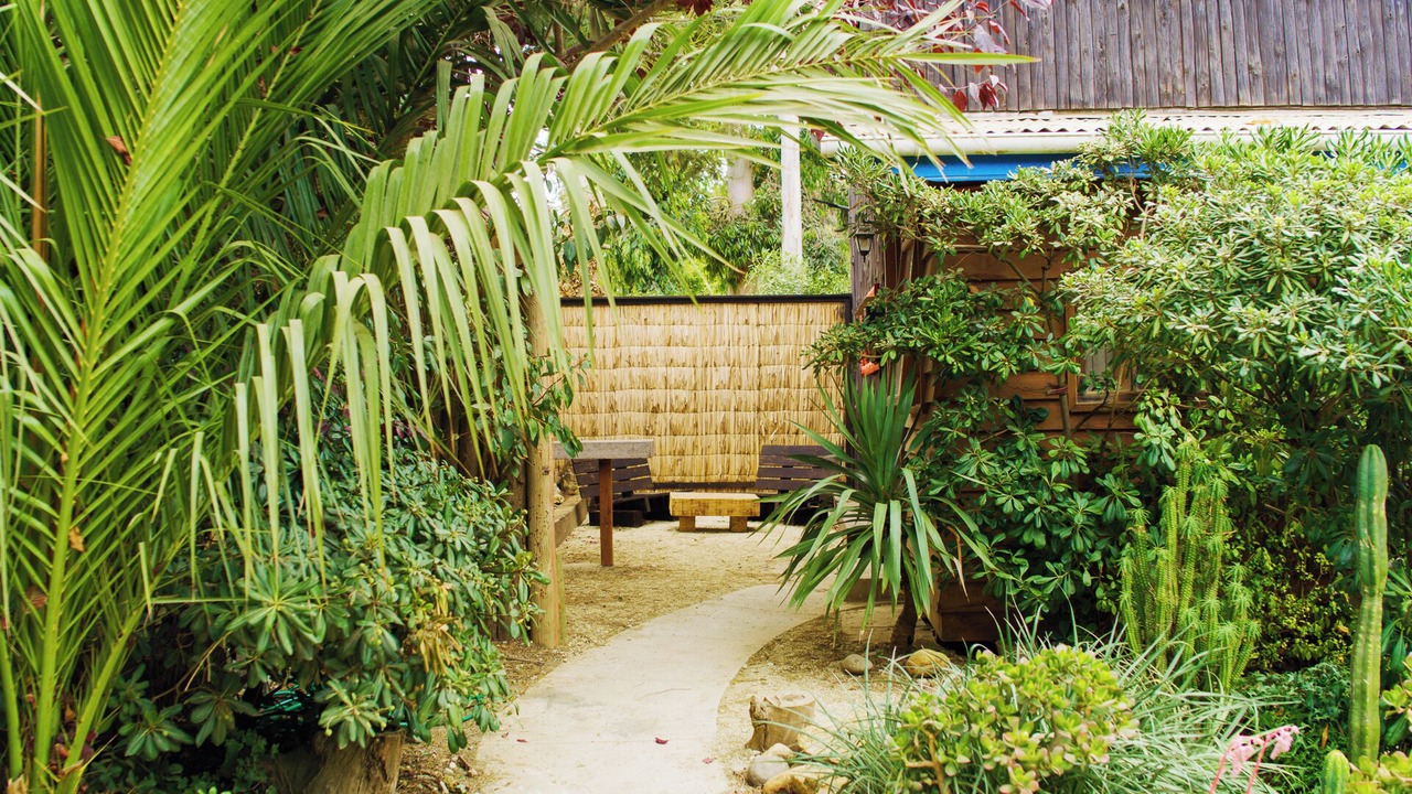 Photo of Outdoor in Pichilemu