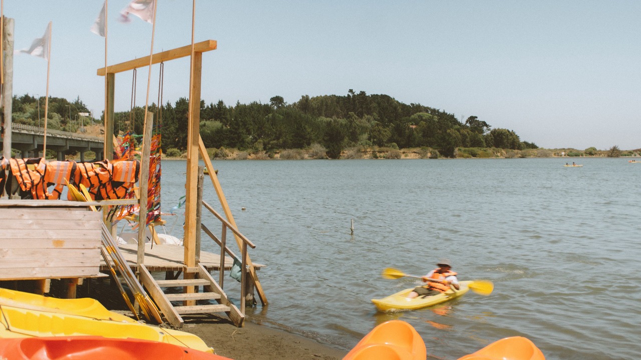 Photo of Others in Pichilemu