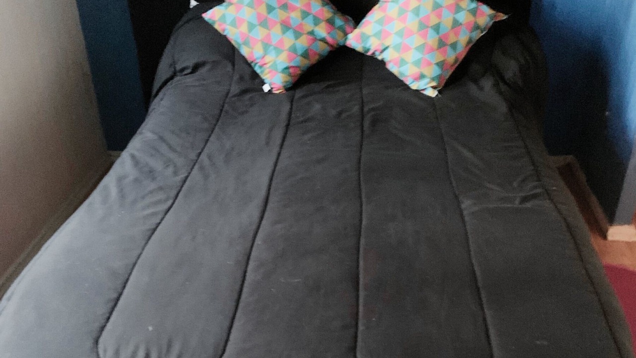 Photo of Bedroom in Downtown Santiago