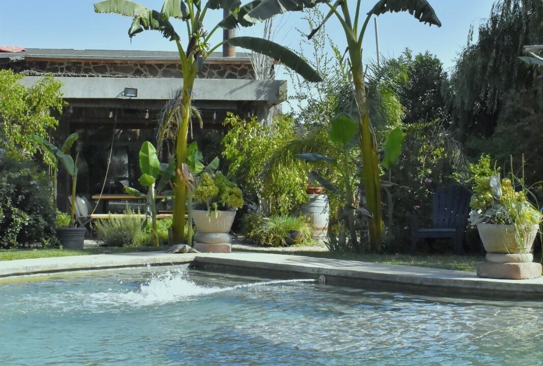 Photo of Outdoor in Curacavi