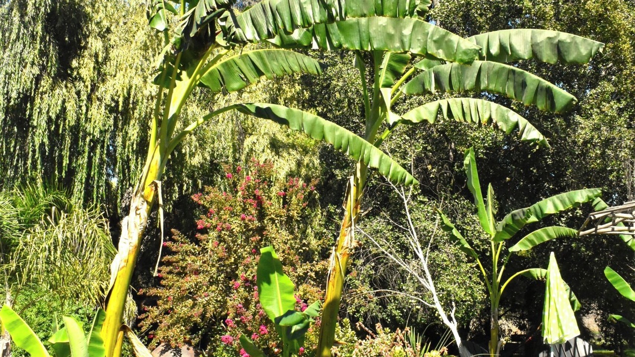 Photo of Outdoor in Curacavi
