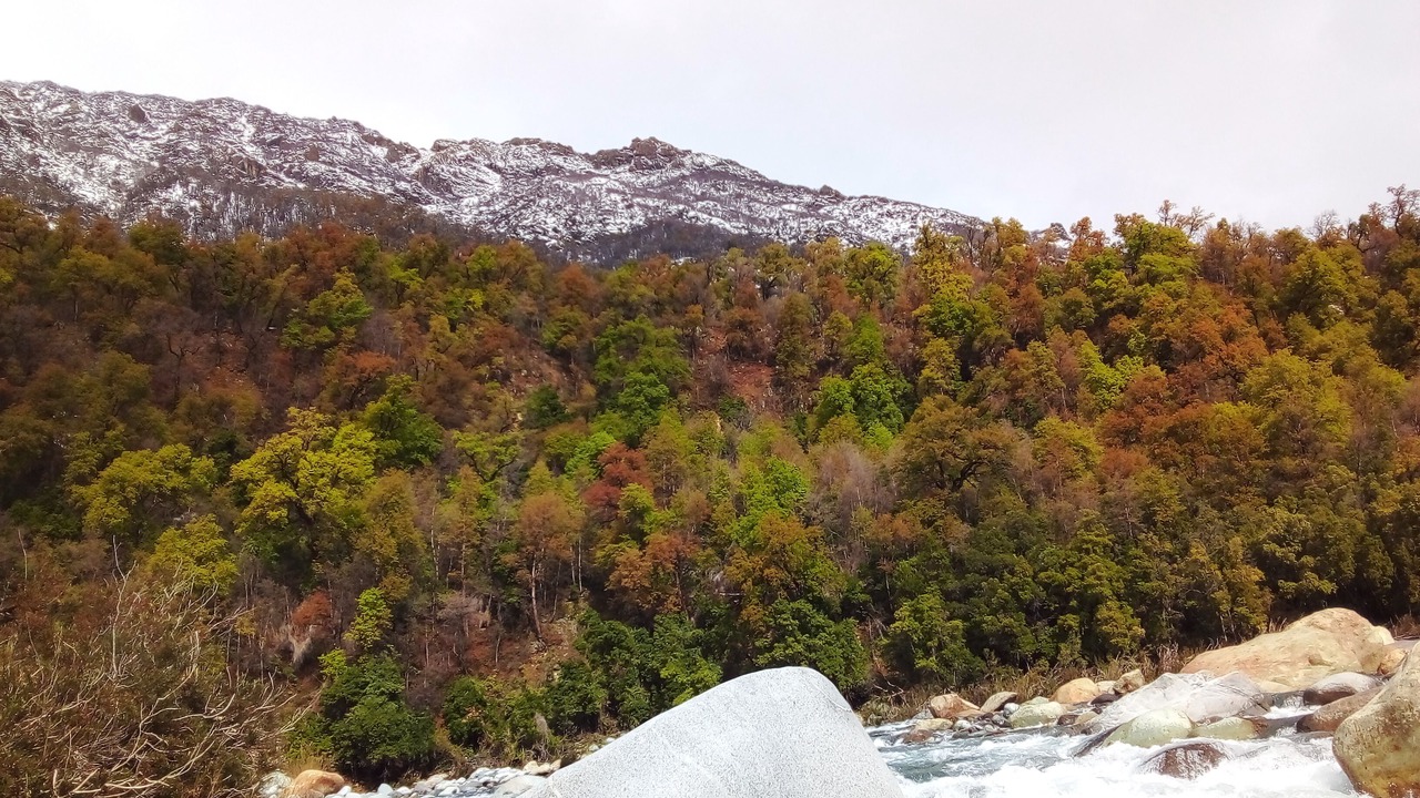 Photo of Others in Longavi