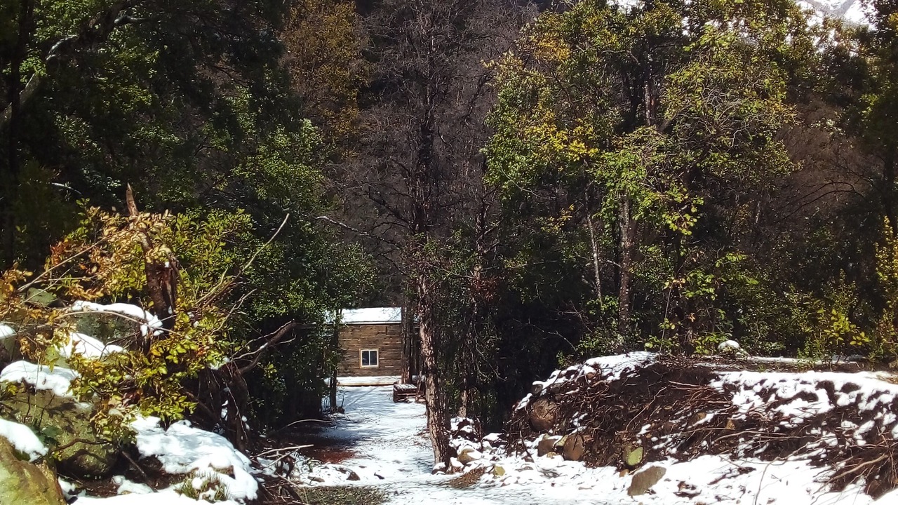 Photo of Others in Longavi