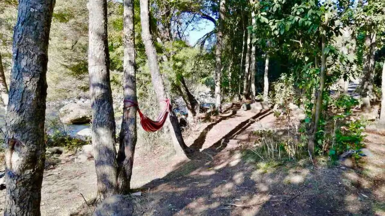 Photo of Others in Pinto