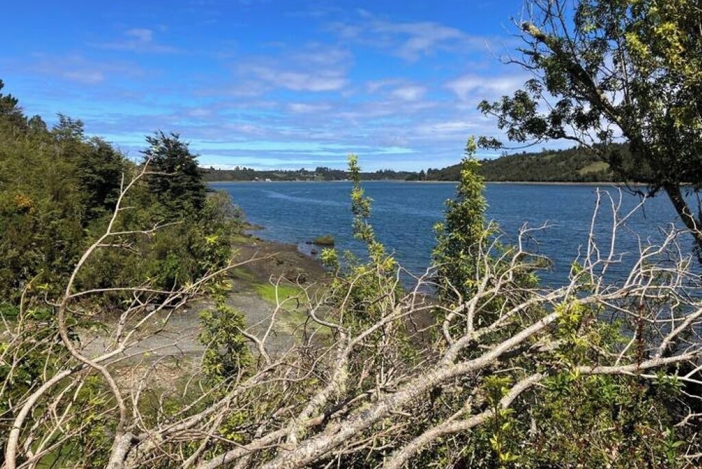 Photo of Others in Calbuco
