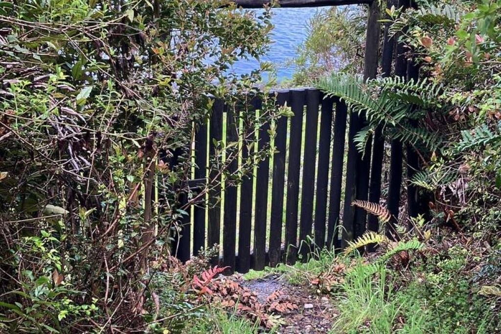 Photo of Outdoor in Calbuco