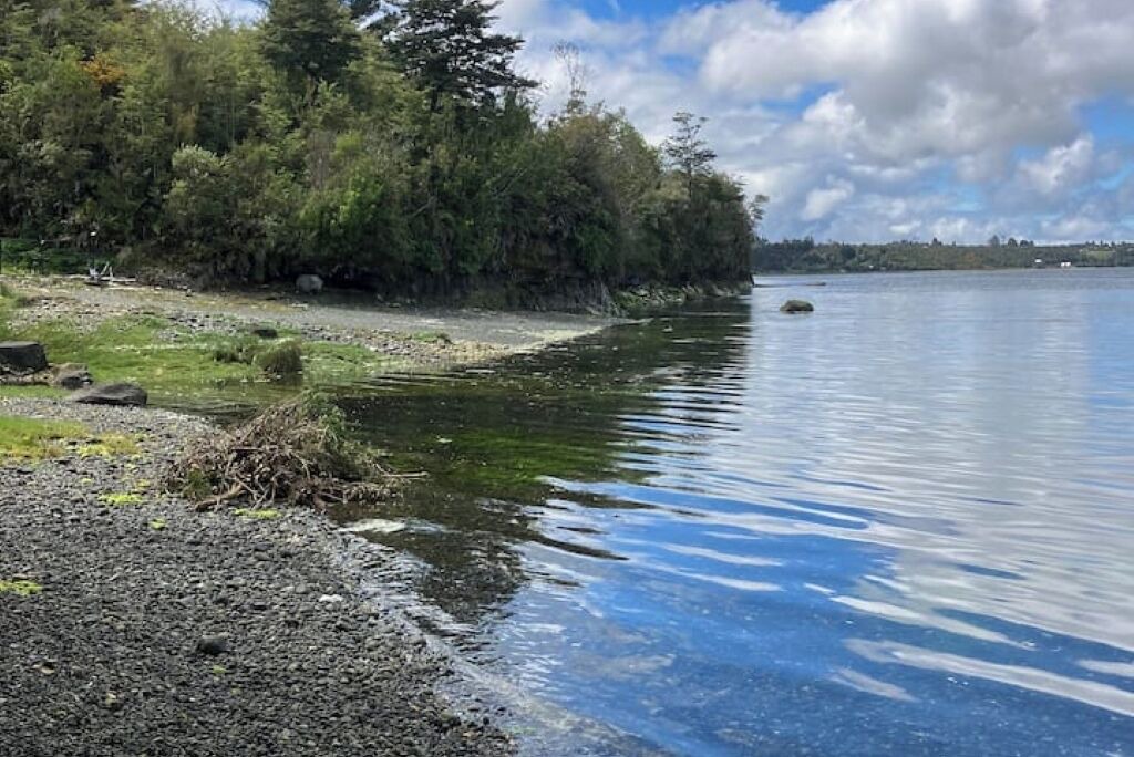 Photo of Others in Calbuco