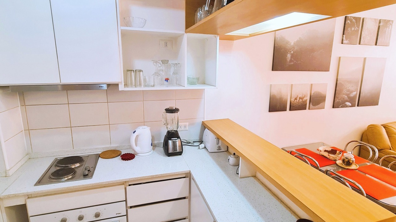 Photo of Kitchen in Lastarria