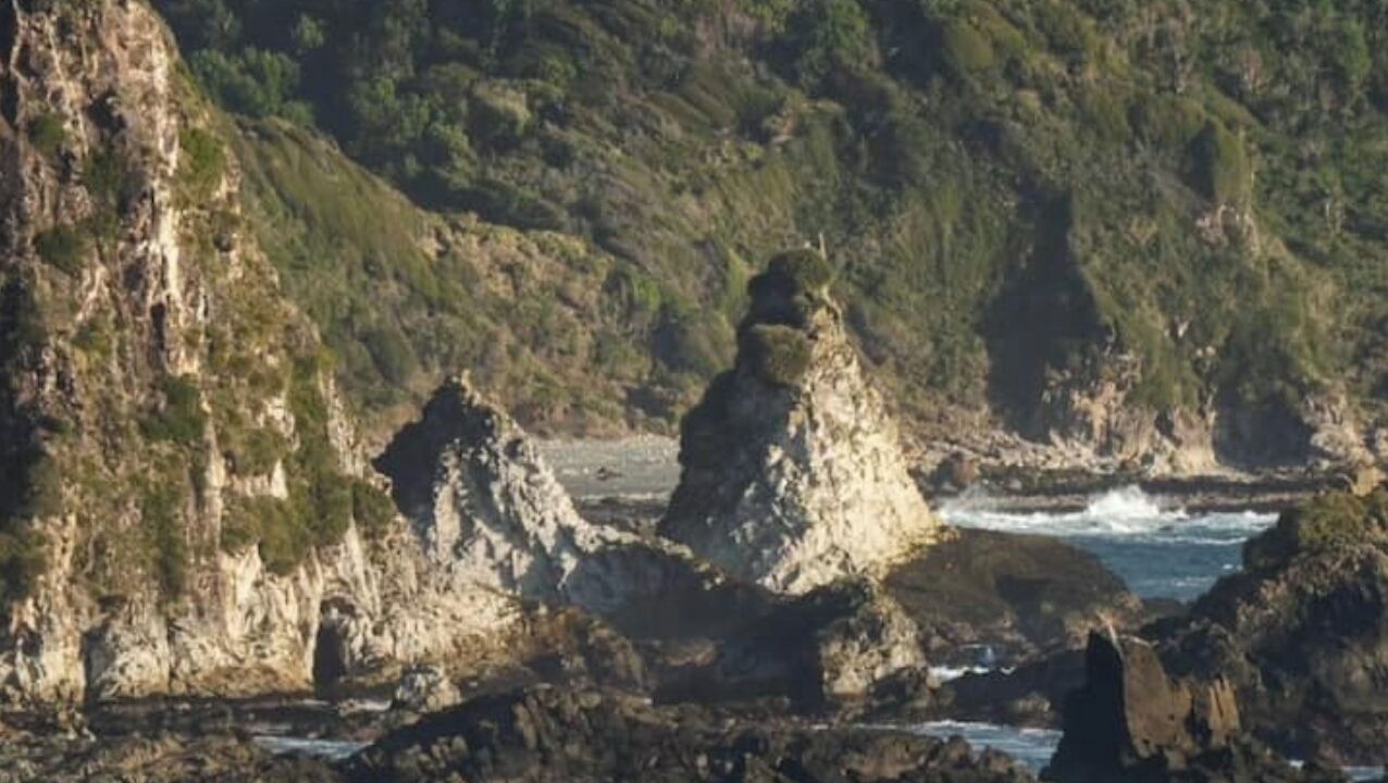 Photo of Others in Chepu