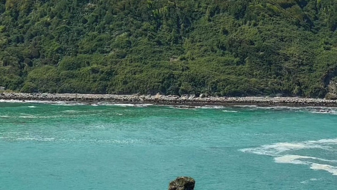 Photo of Others in Chepu