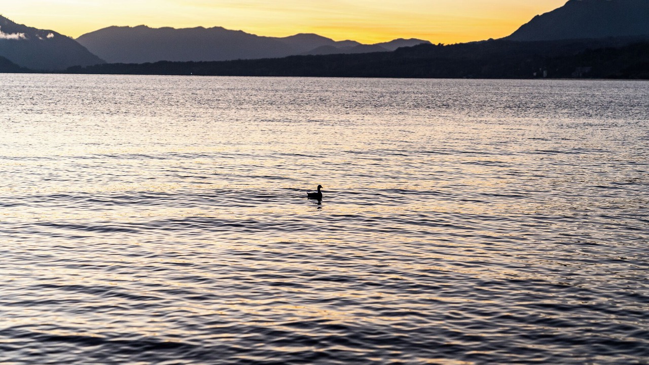 Photo of Others in Villarrica