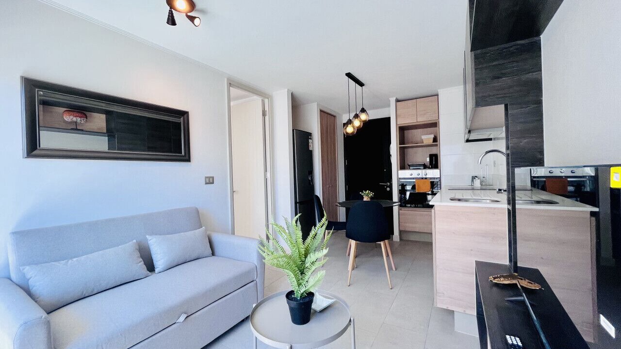Photo of Livingroom in Downtown Santiago