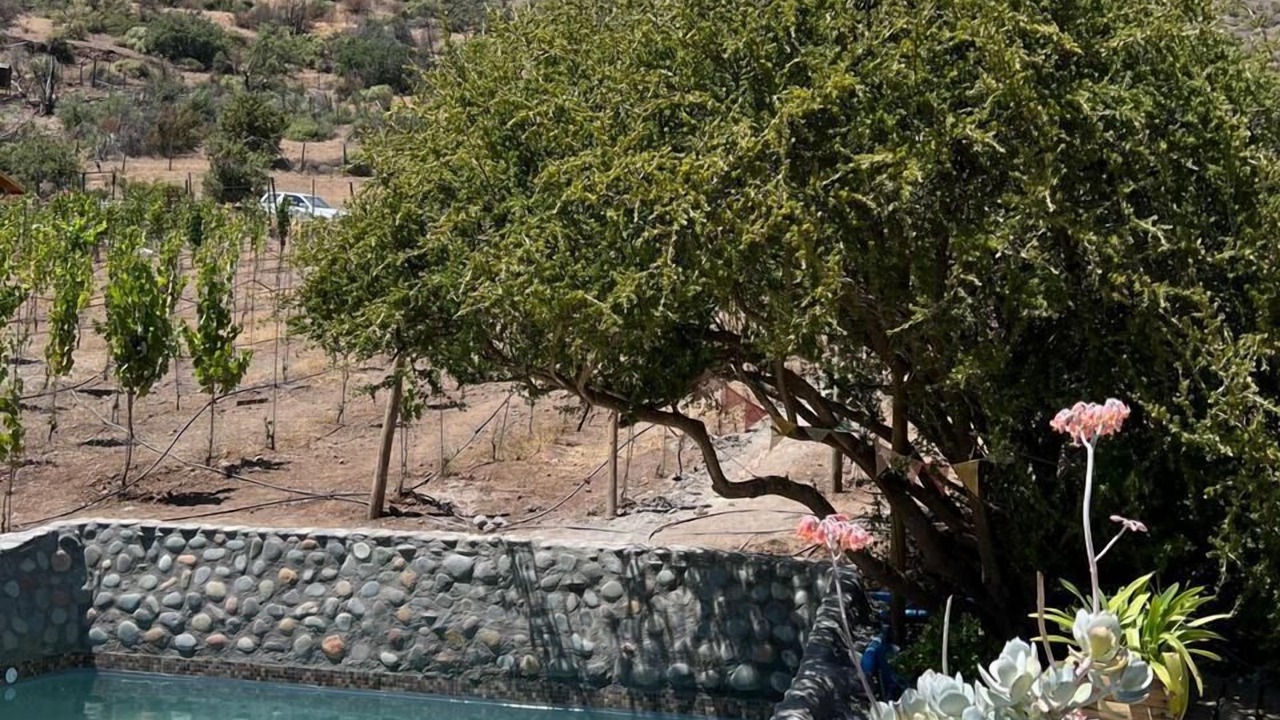 Photo of Outdoor in Melocoton