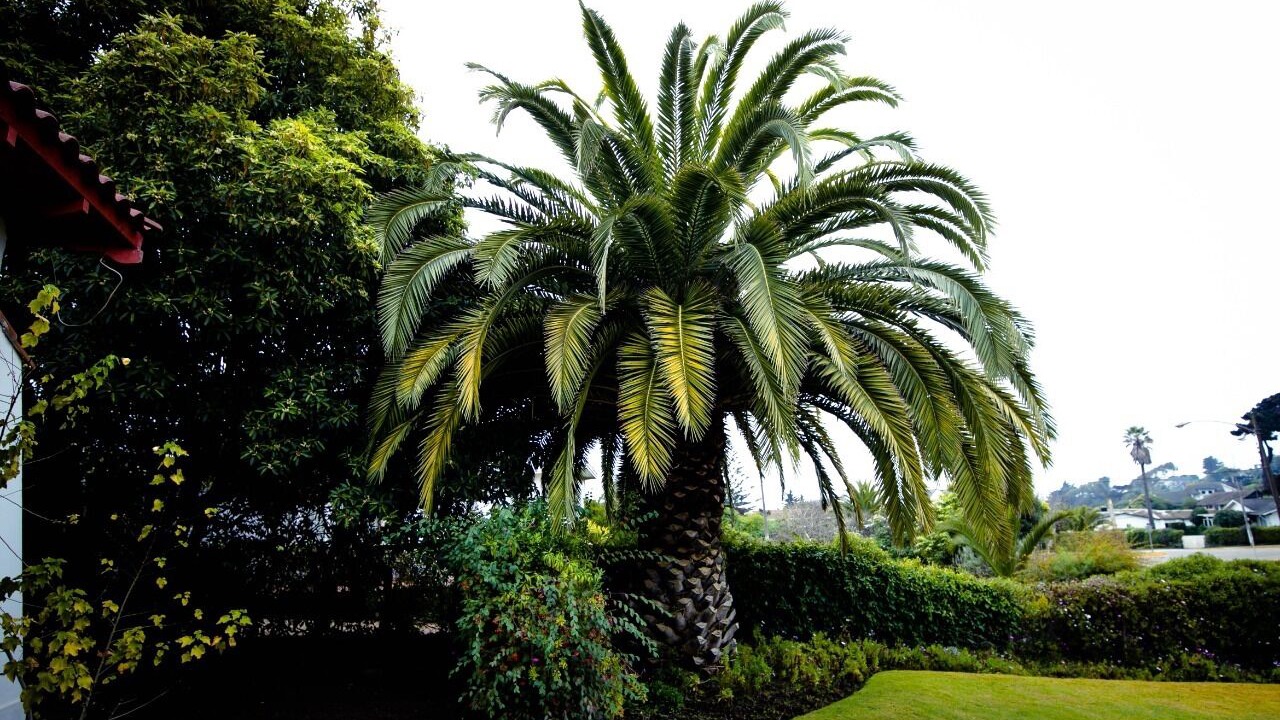 Photo of Outdoor in Santo Domingo