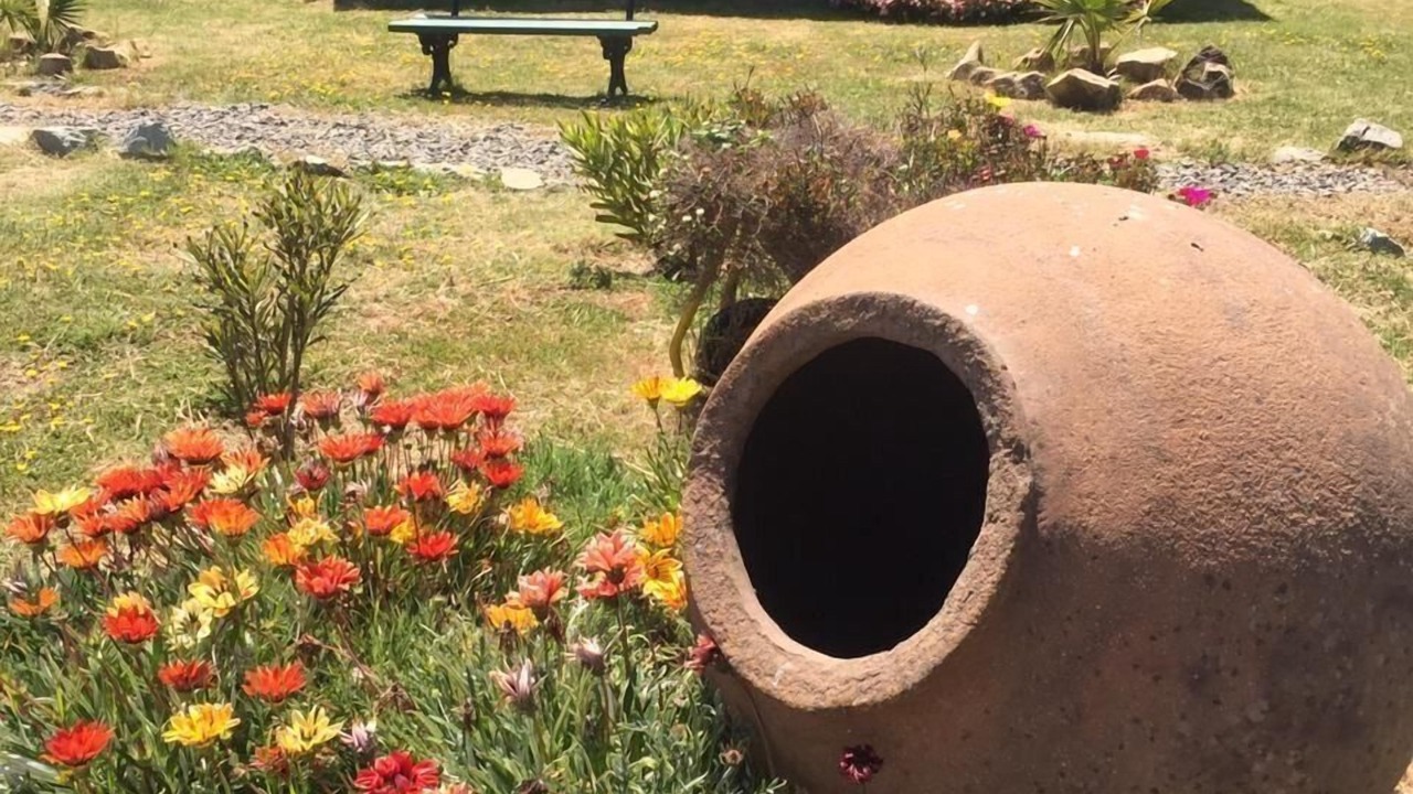 Photo of Outdoor in Duao