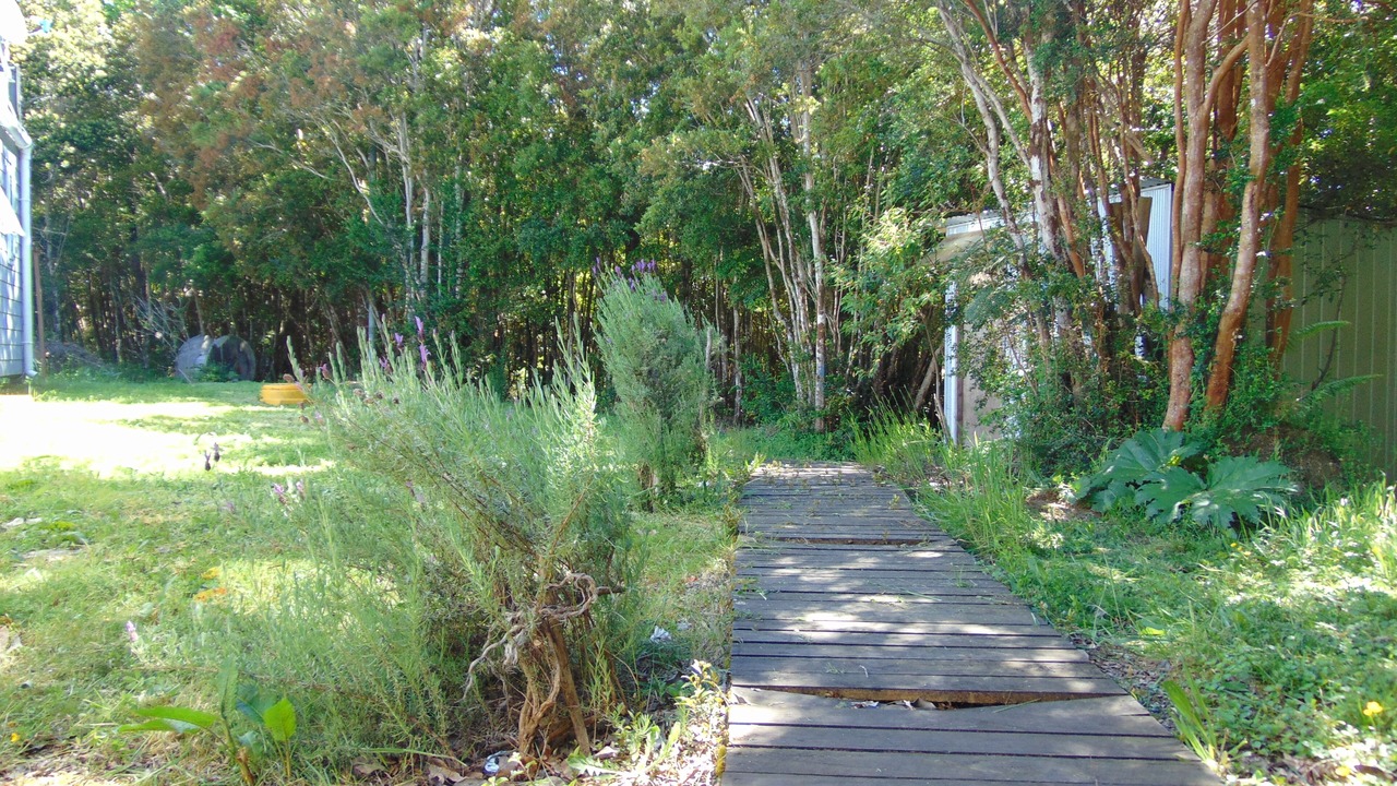 Photo of Outdoor in Lenca