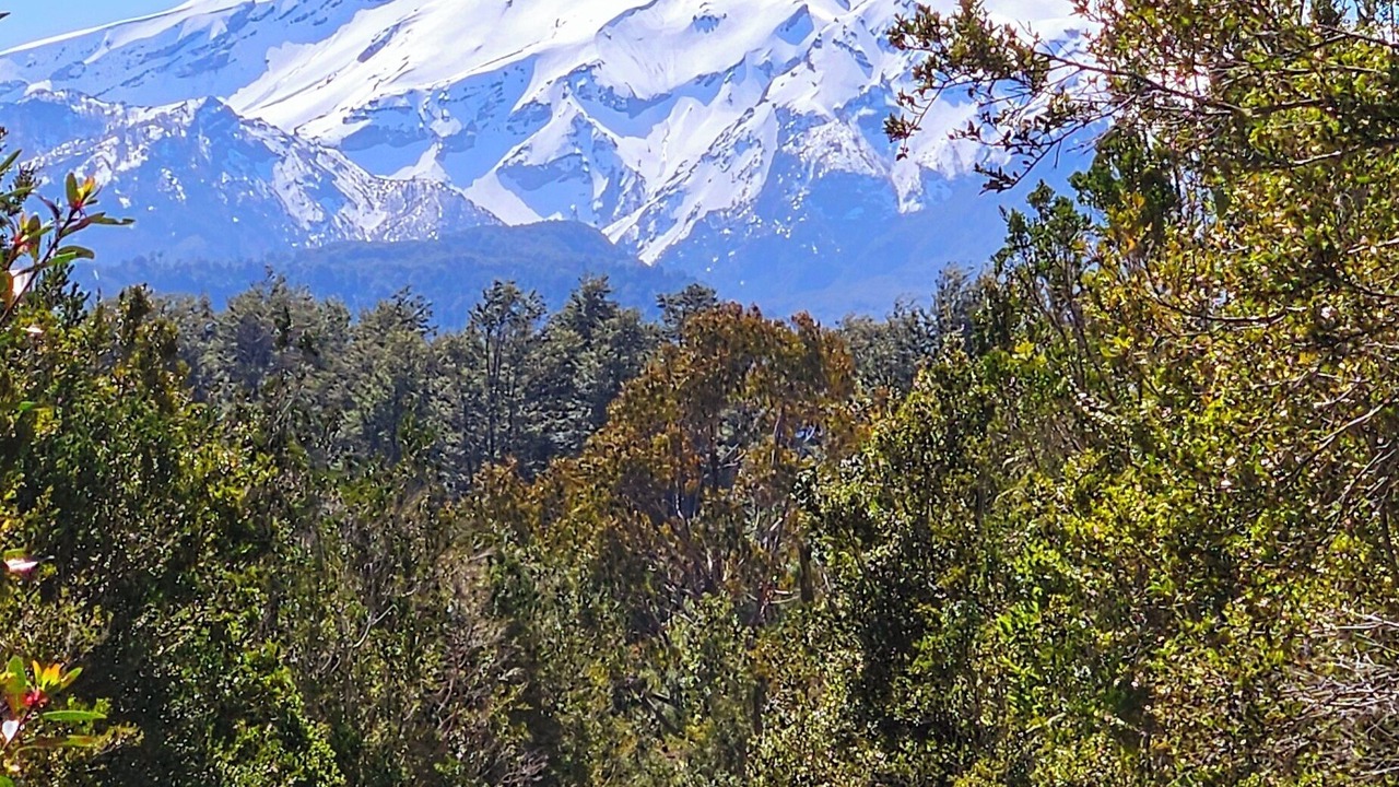 Photo of Outdoor in Lenca