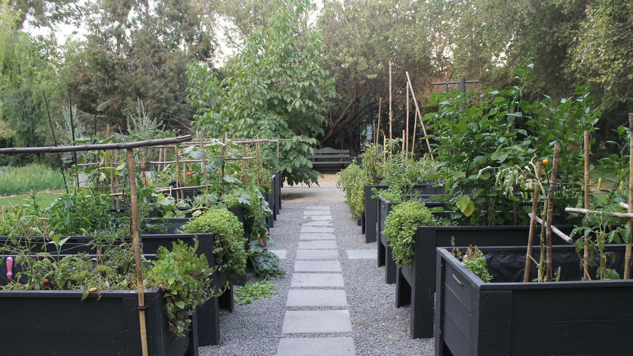Photo of Outdoor in Colina