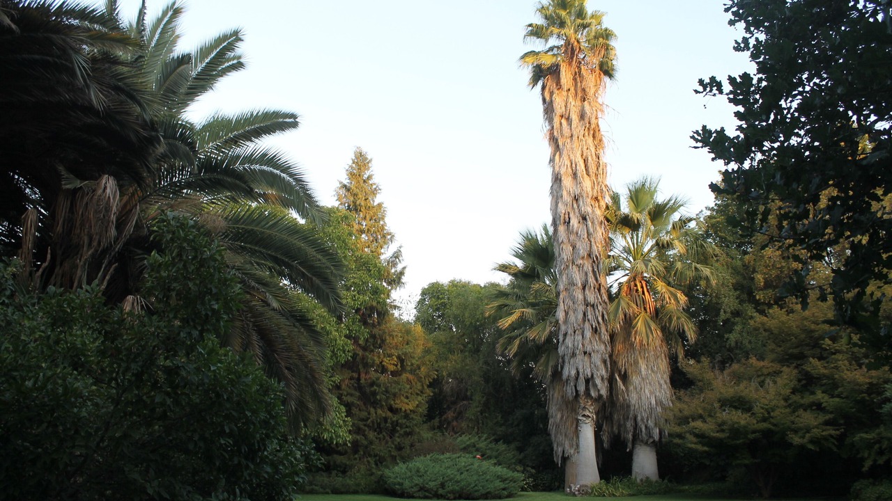 Photo of Others in Colina