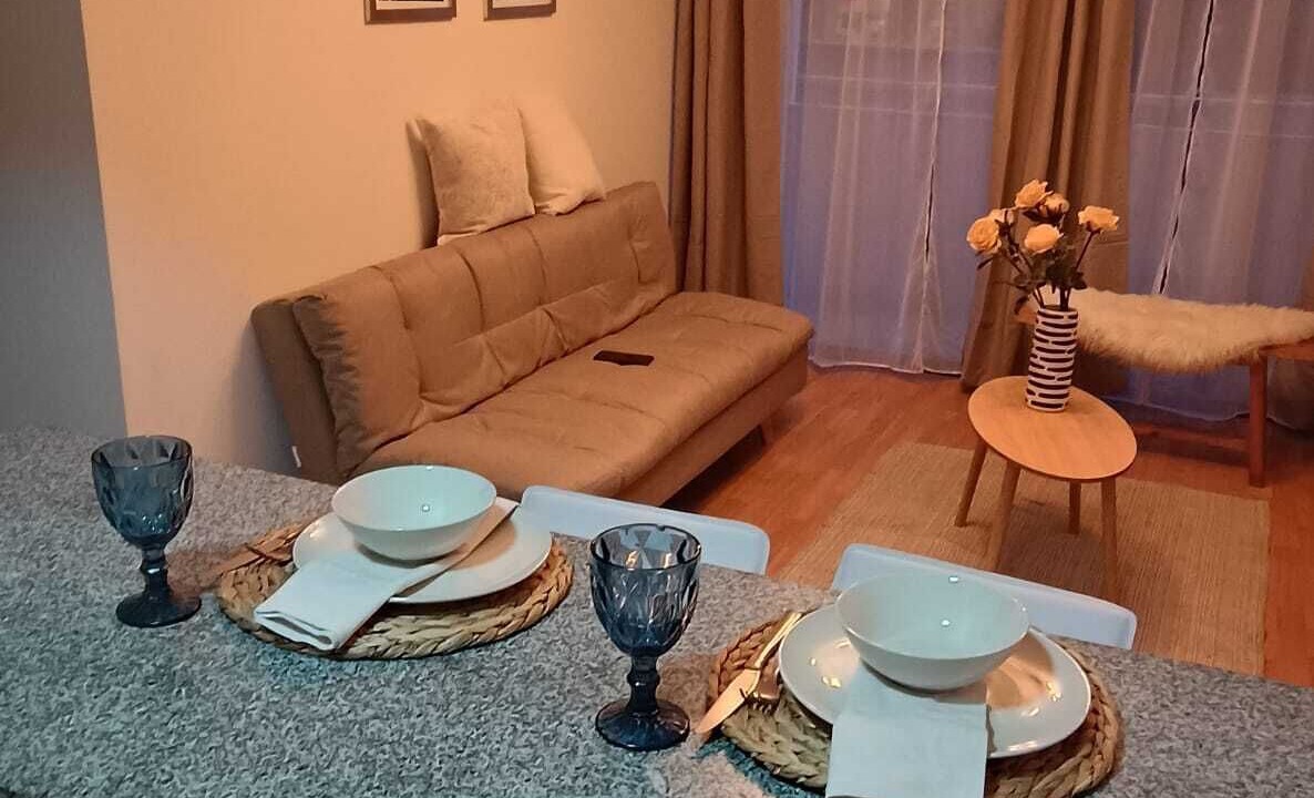 Photo of Livingroom in Downtown Santiago