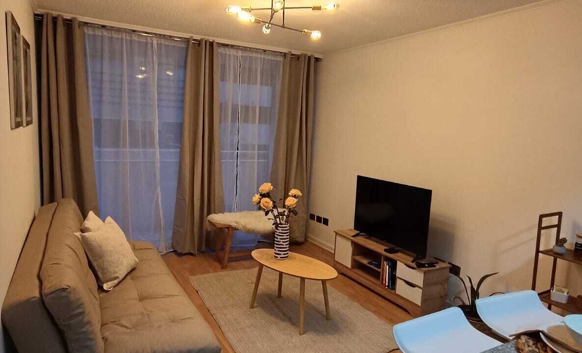Photo of Livingroom in Downtown Santiago